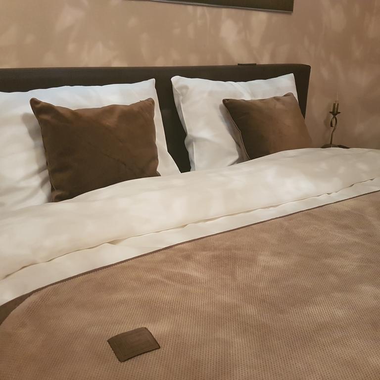 Classic Apartment Brasov Ngoại thất bức ảnh